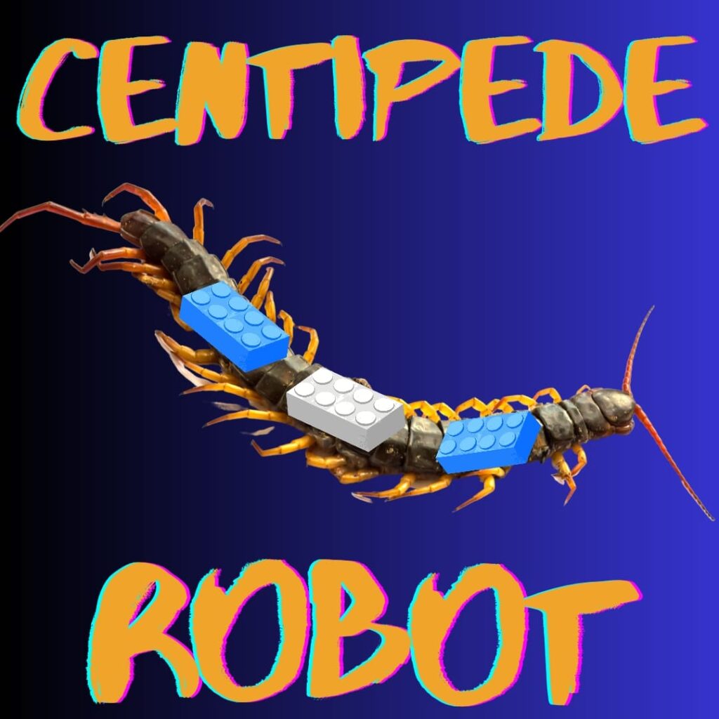 Centipede bot, highest bridge, 13-year-old hero, Japanese smile again ...